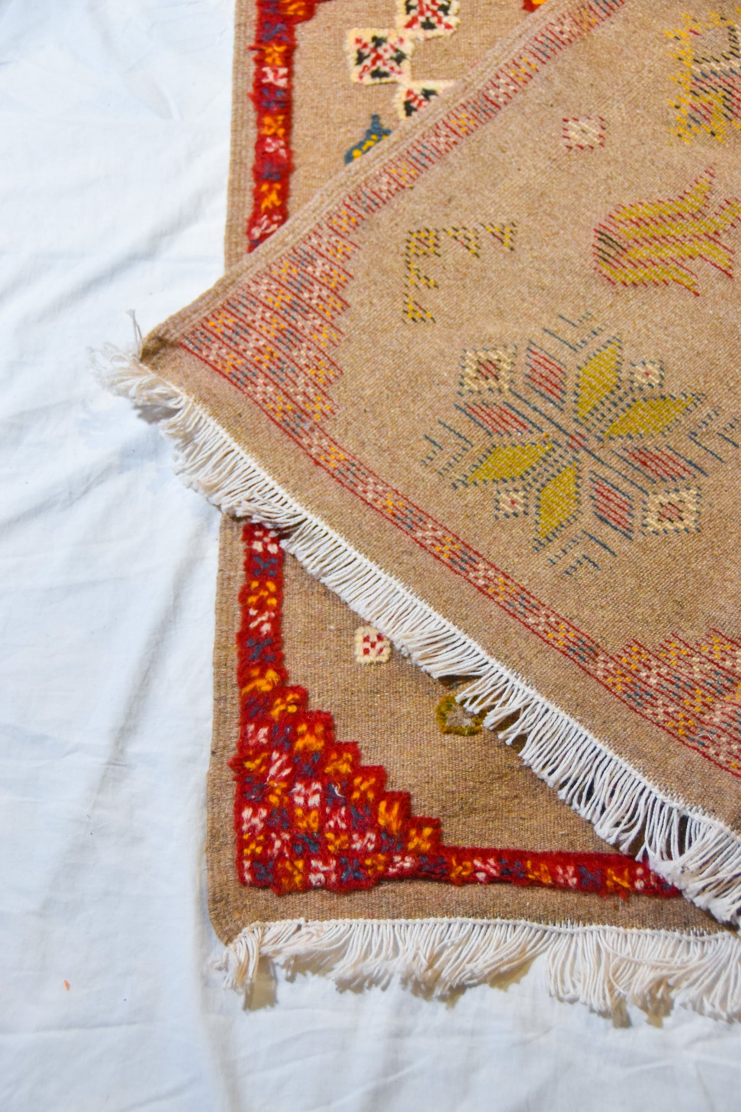 AKHNIF / TAZNAKHT Rug