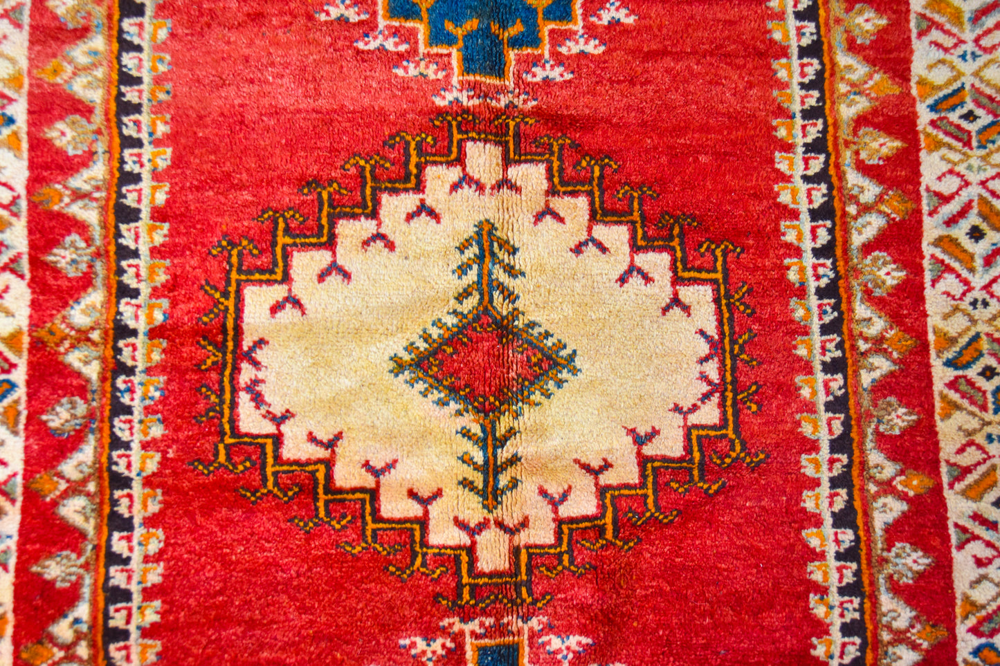 TAZNAKHT Rug